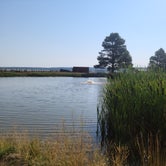 Review photo of Mormon Lake Lodge RV Park & Campground by Vic R., August 20, 2020