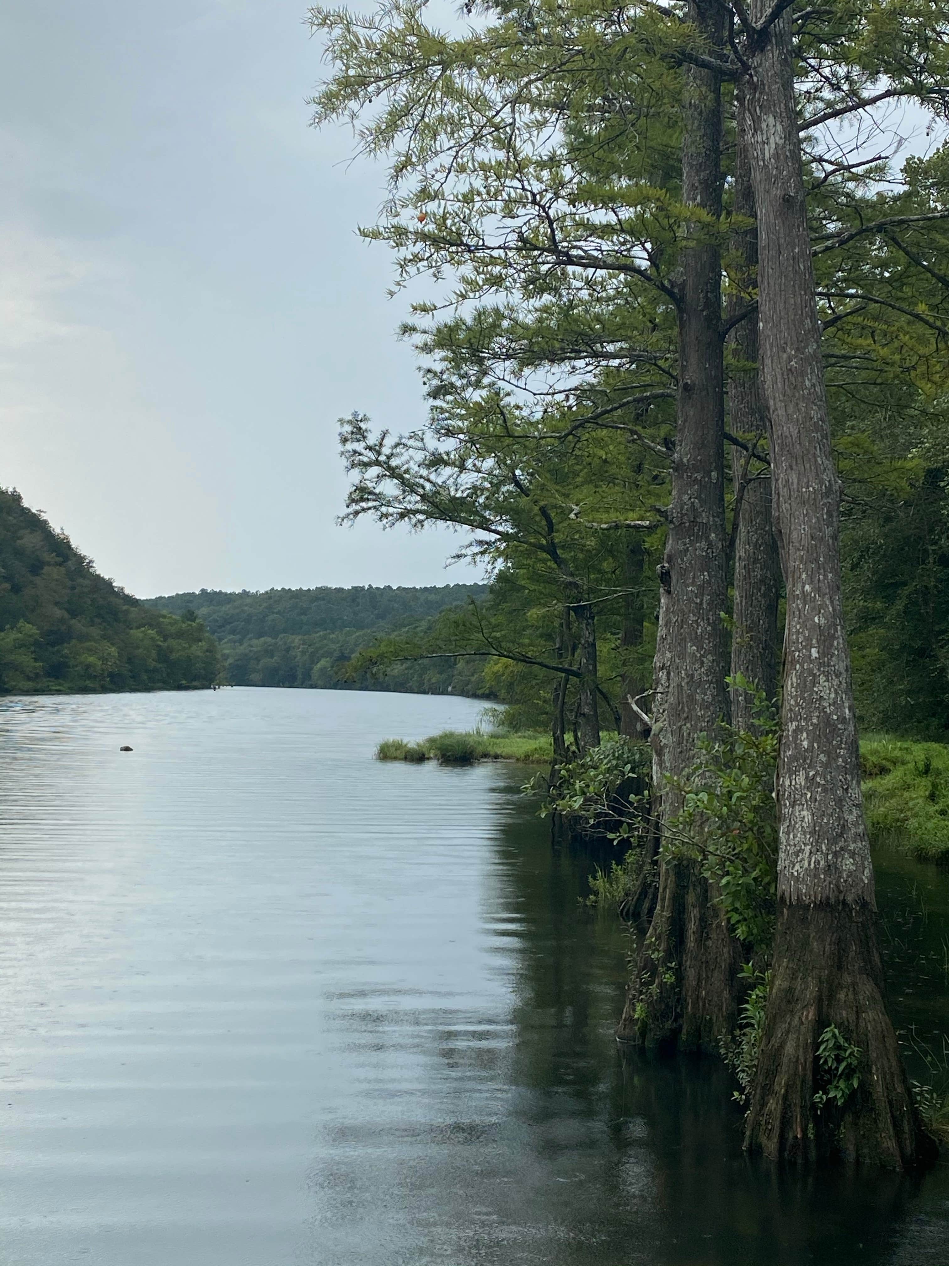 Camper submitted image from Acorn Campground — Beavers Bend State Park - 3