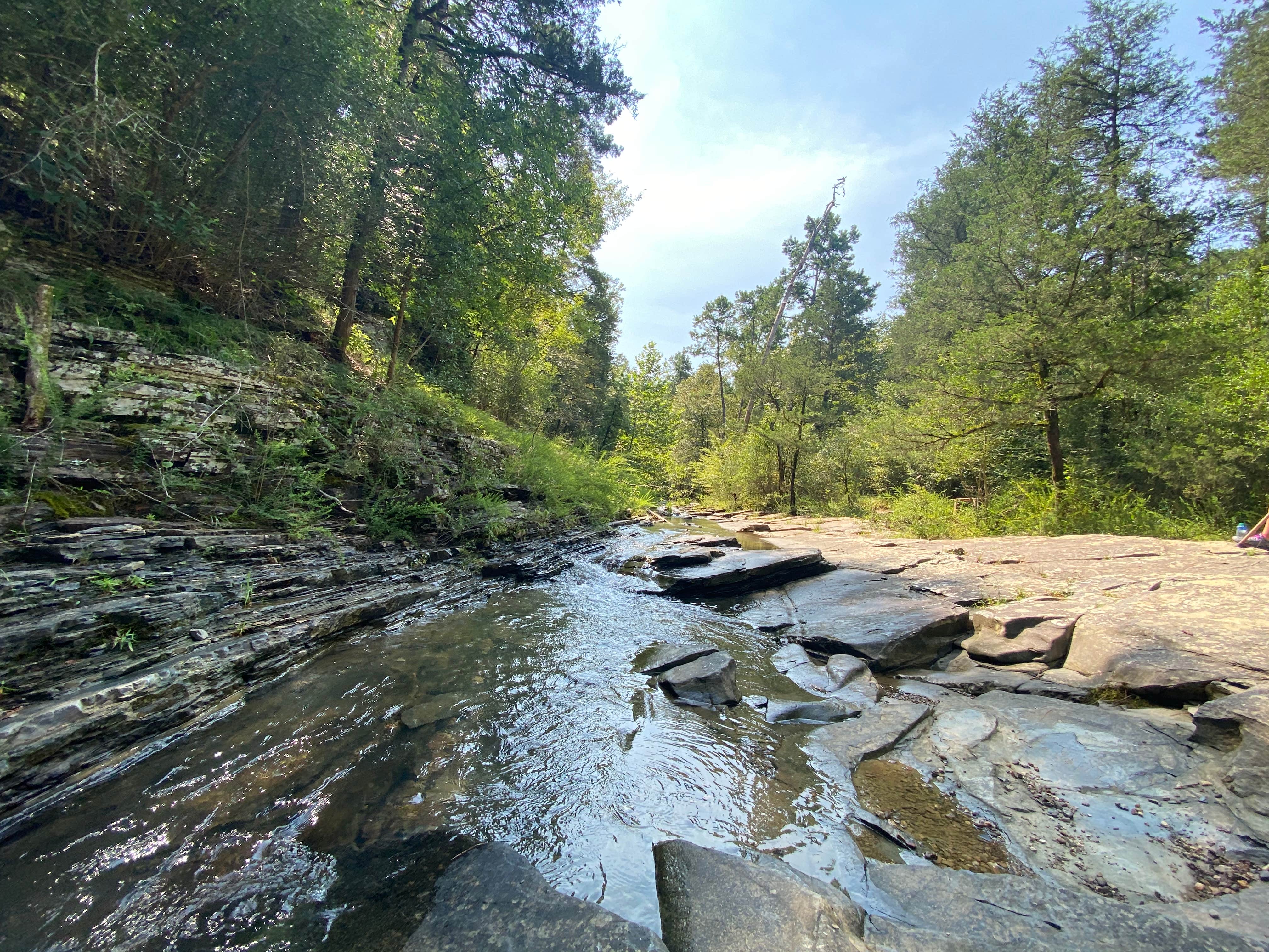 Camper submitted image from Acorn Campground — Beavers Bend State Park - 2