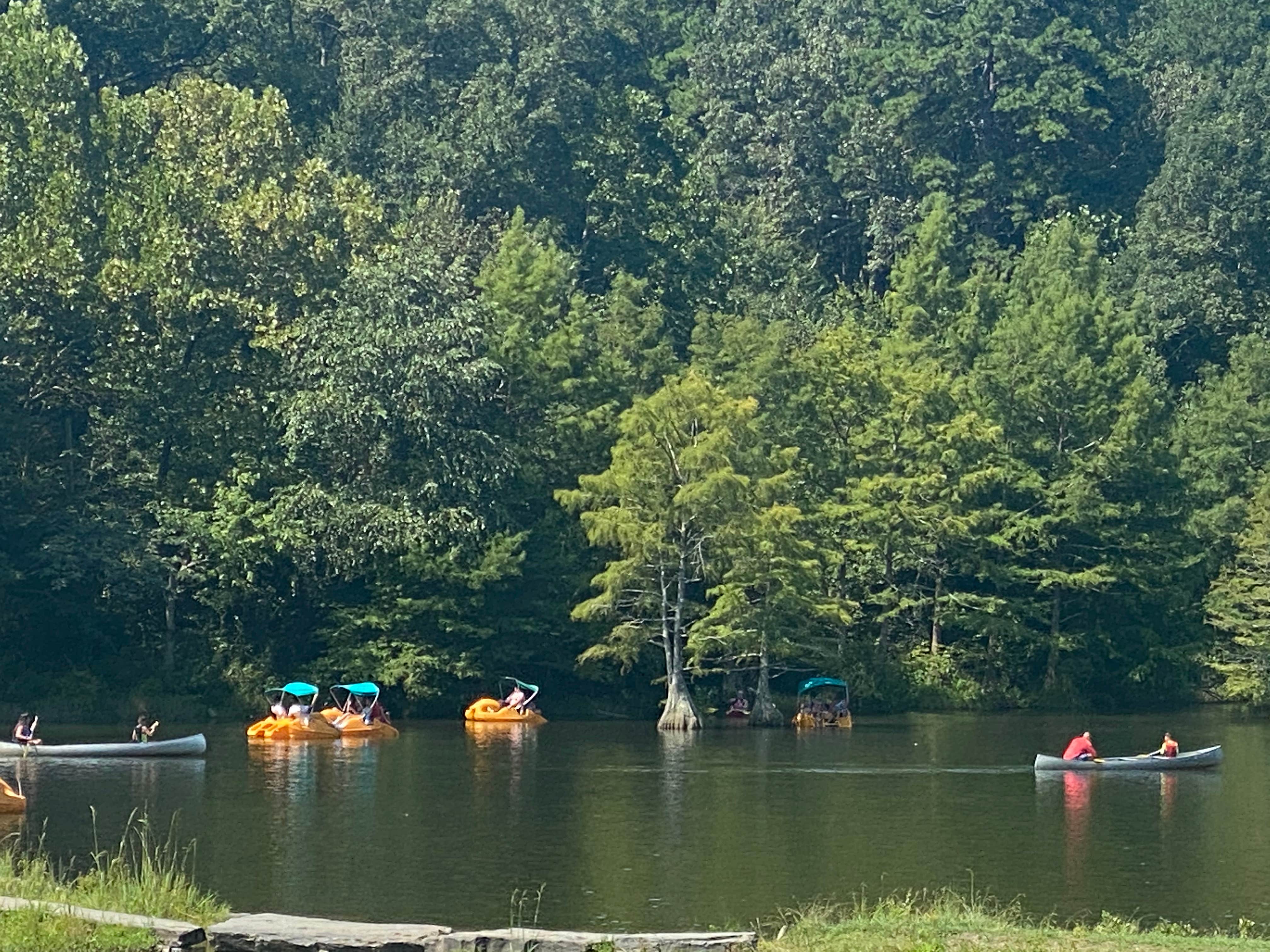 Camper submitted image from Acorn Campground — Beavers Bend State Park - 2