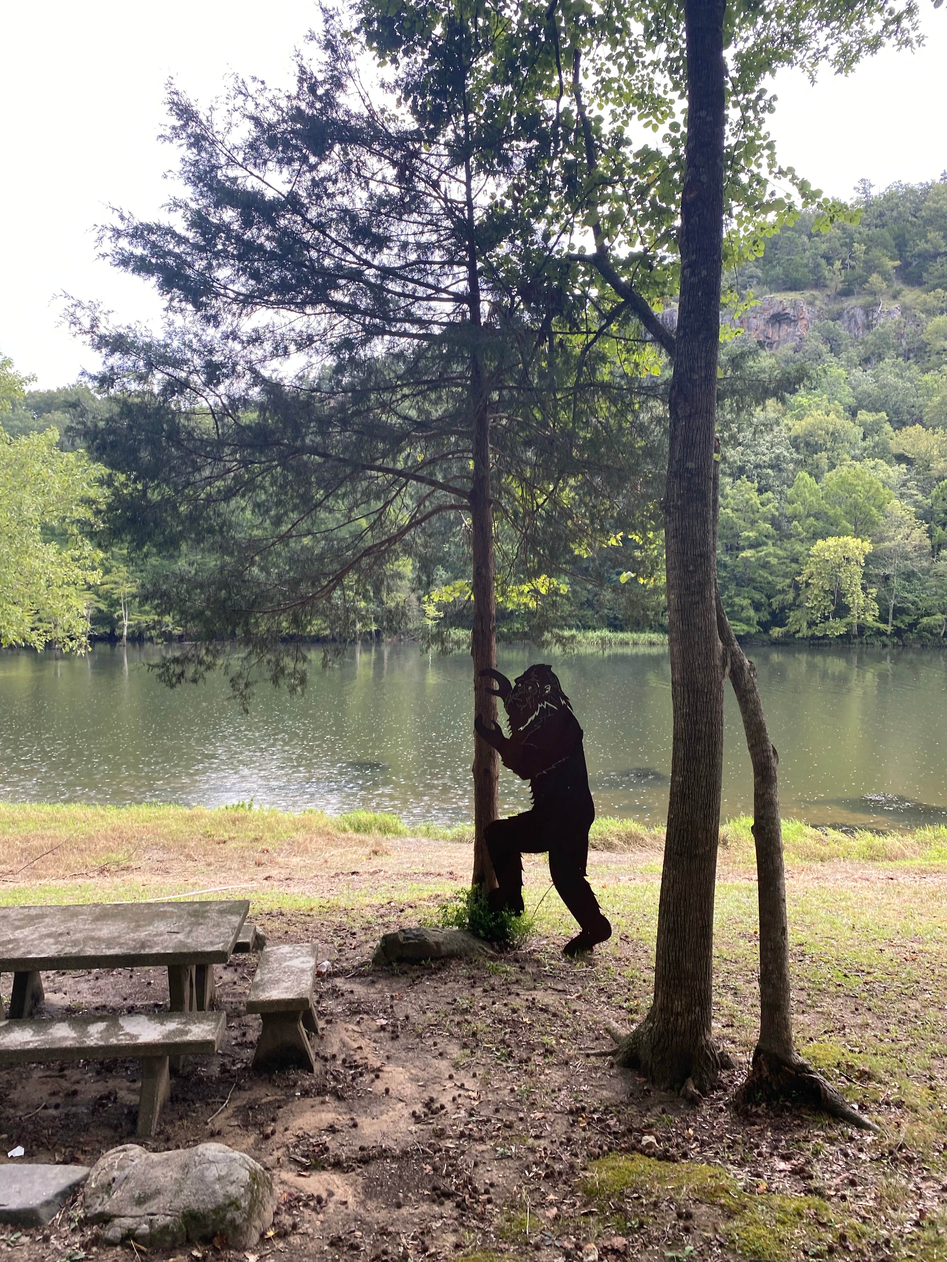 Camper submitted image from Acorn Campground — Beavers Bend State Park - 3
