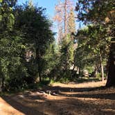 Review photo of Camping area No. 3 (dispersed) by Jessica P., August 20, 2020