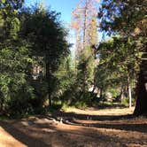 Review photo of Camping area No. 3 (dispersed) by Jessica P., August 20, 2020