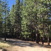 Review photo of Camping area No. 3 (dispersed) by Jessica P., August 20, 2020
