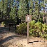 Review photo of Camping area No. 3 (dispersed) by Jessica P., August 20, 2020