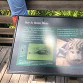 Review photo of Hunting Island State Park Campground by Bill C., August 20, 2020