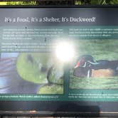 Review photo of Hunting Island State Park Campground by Bill C., August 20, 2020