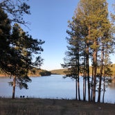 Review photo of Sheridan Lake South Shore Campground by Janet L., May 4, 2018