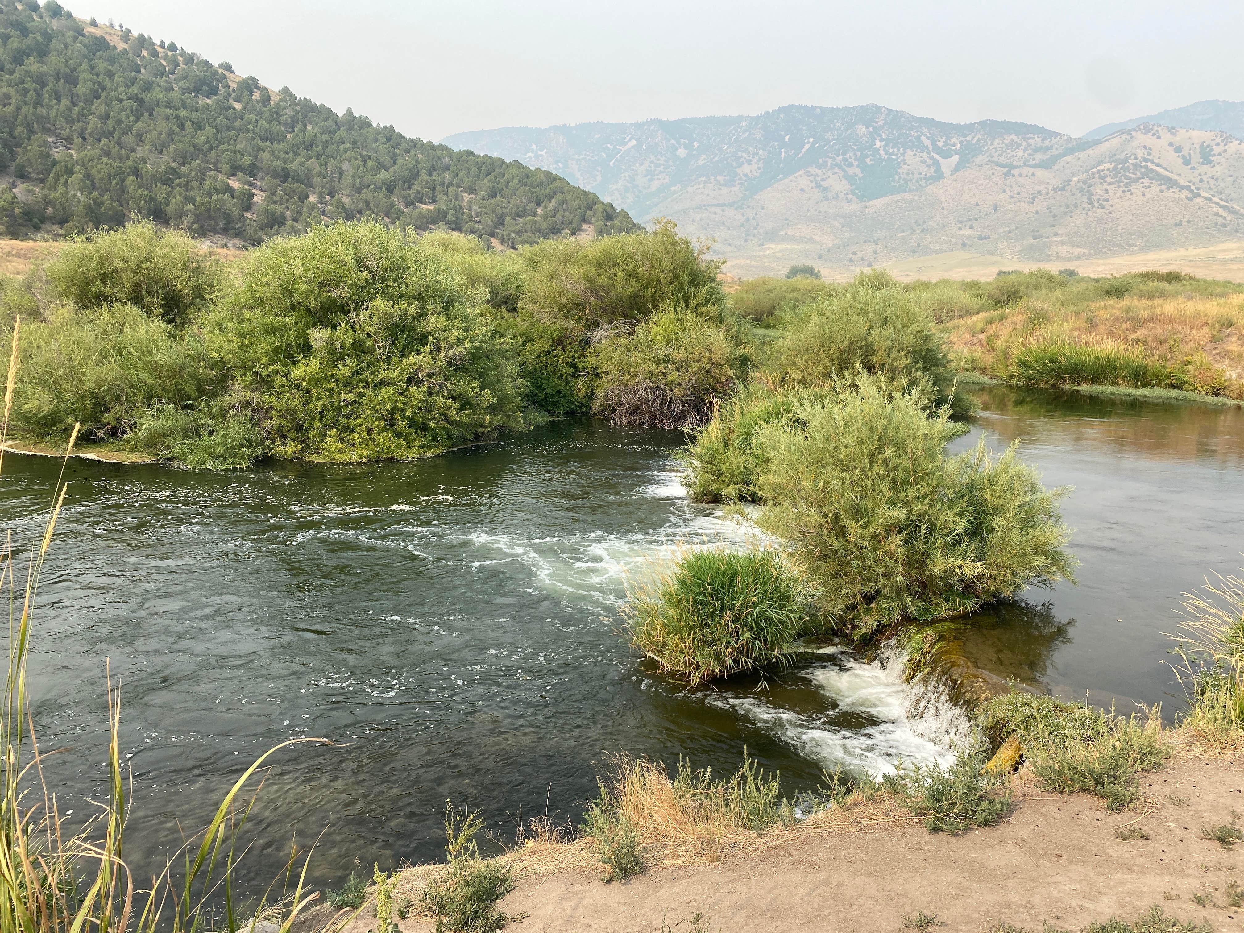 Camper submitted image from Lower portneuf campground - 4