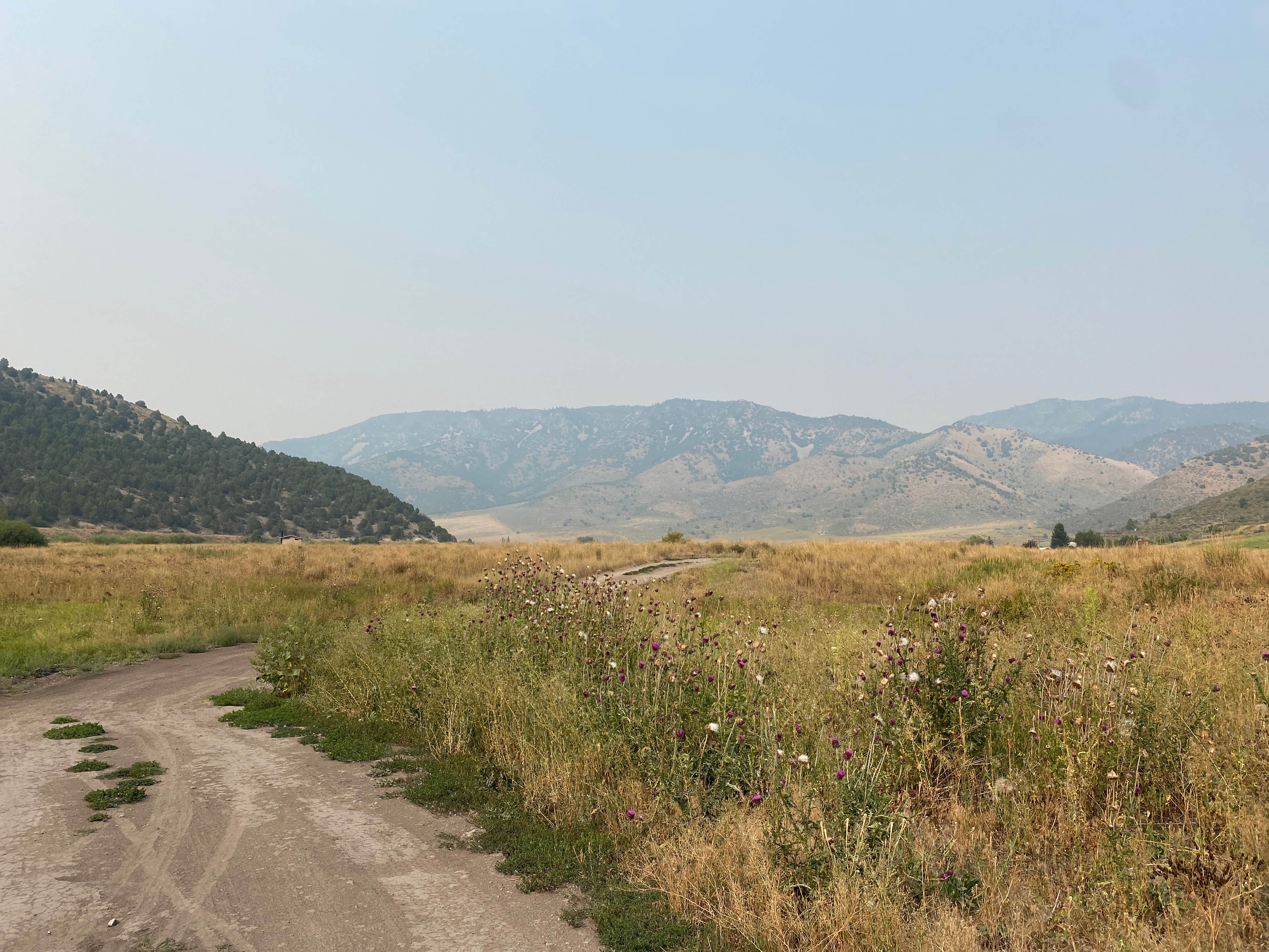 Camper-submitted photo at Lower portneuf campground near Lava Hot Springs, ID