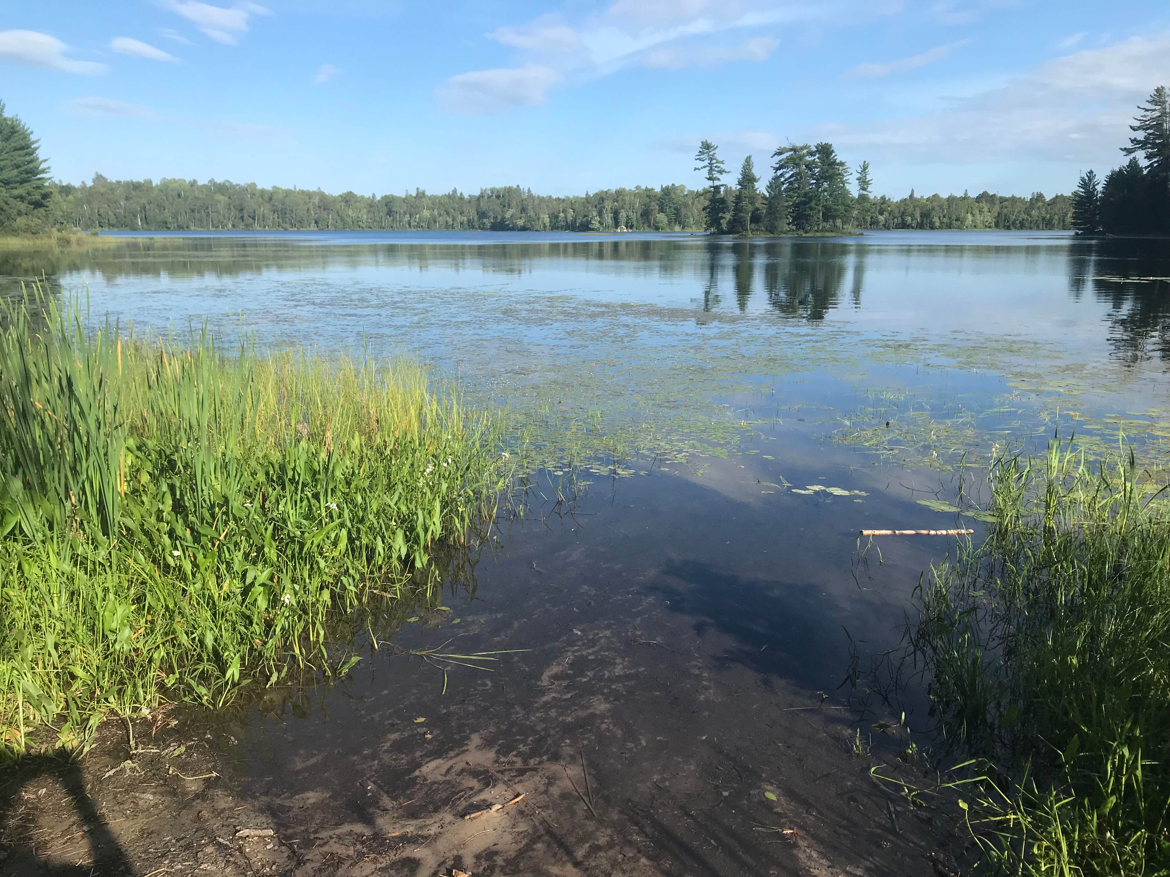 Water