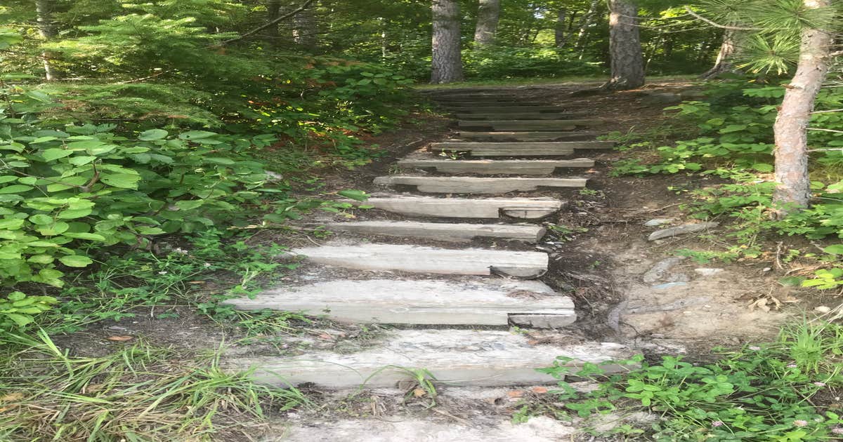 Marcell Area Camping | Deer River, Minnesota