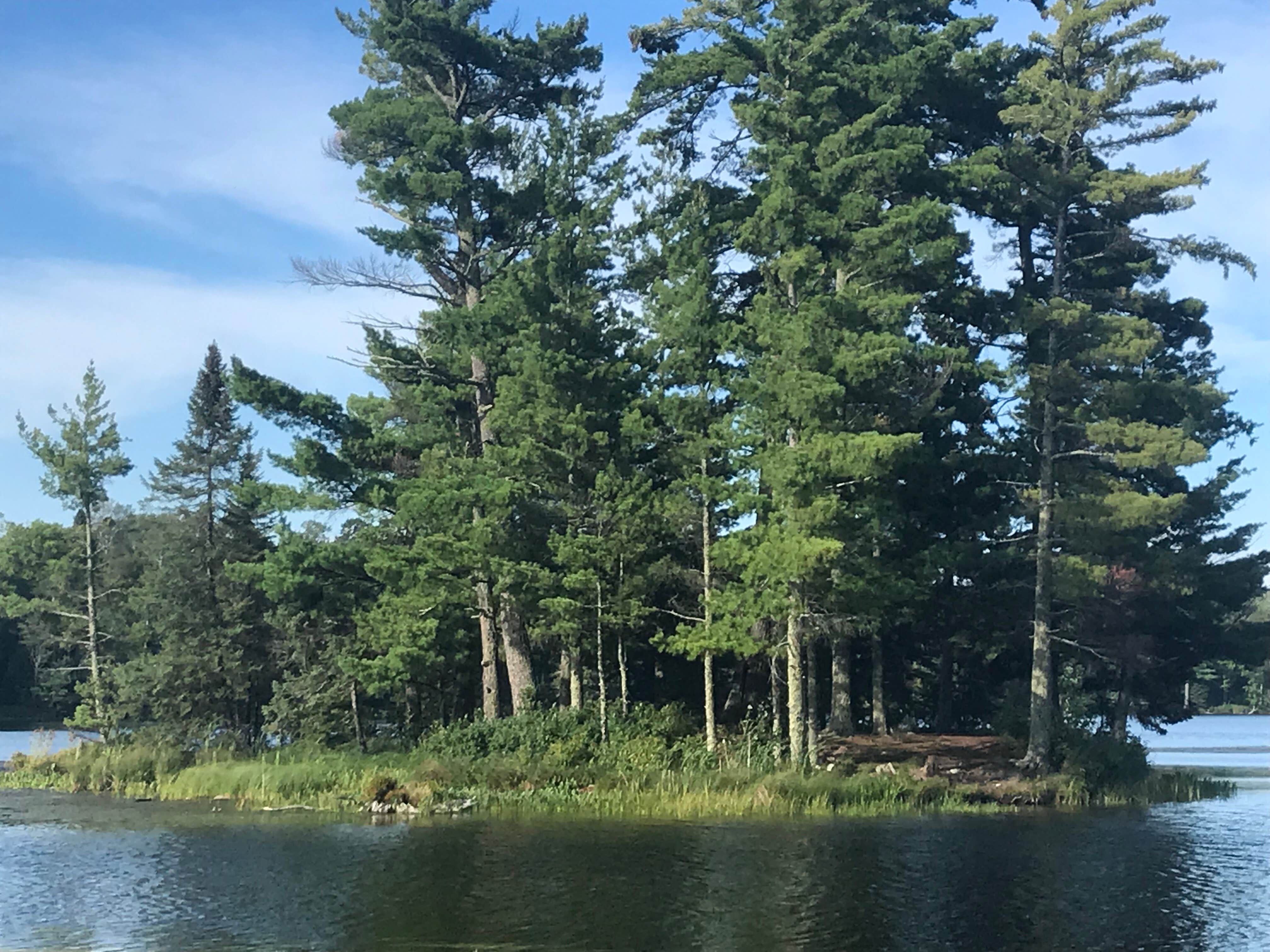 Camper-submitted photo at Marcell Area near Grand Rapids, MN