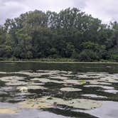 Review photo of Rock Cut State Park - Staghorn Campground by Rose V., August 21, 2020