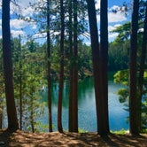Review photo of Bear Head Lake State Park Campground by Joanna B., August 21, 2020