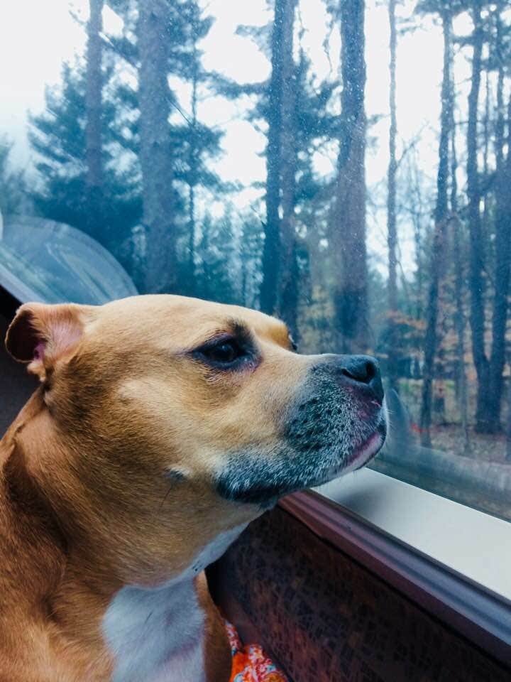 Camper-submitted photo at East Harbor State Park Campground in Ohio