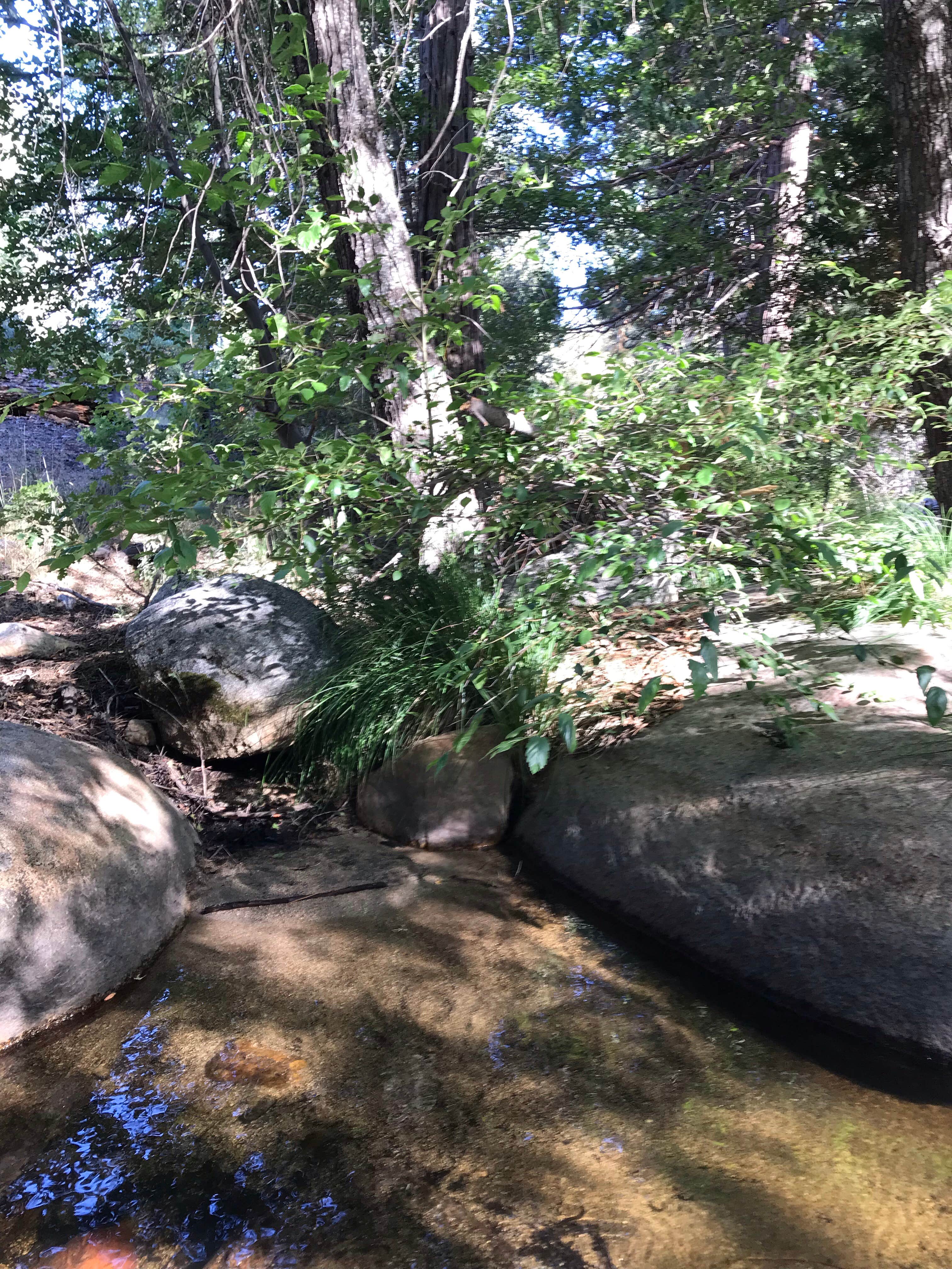 Camping area No. 3 (dispersed)