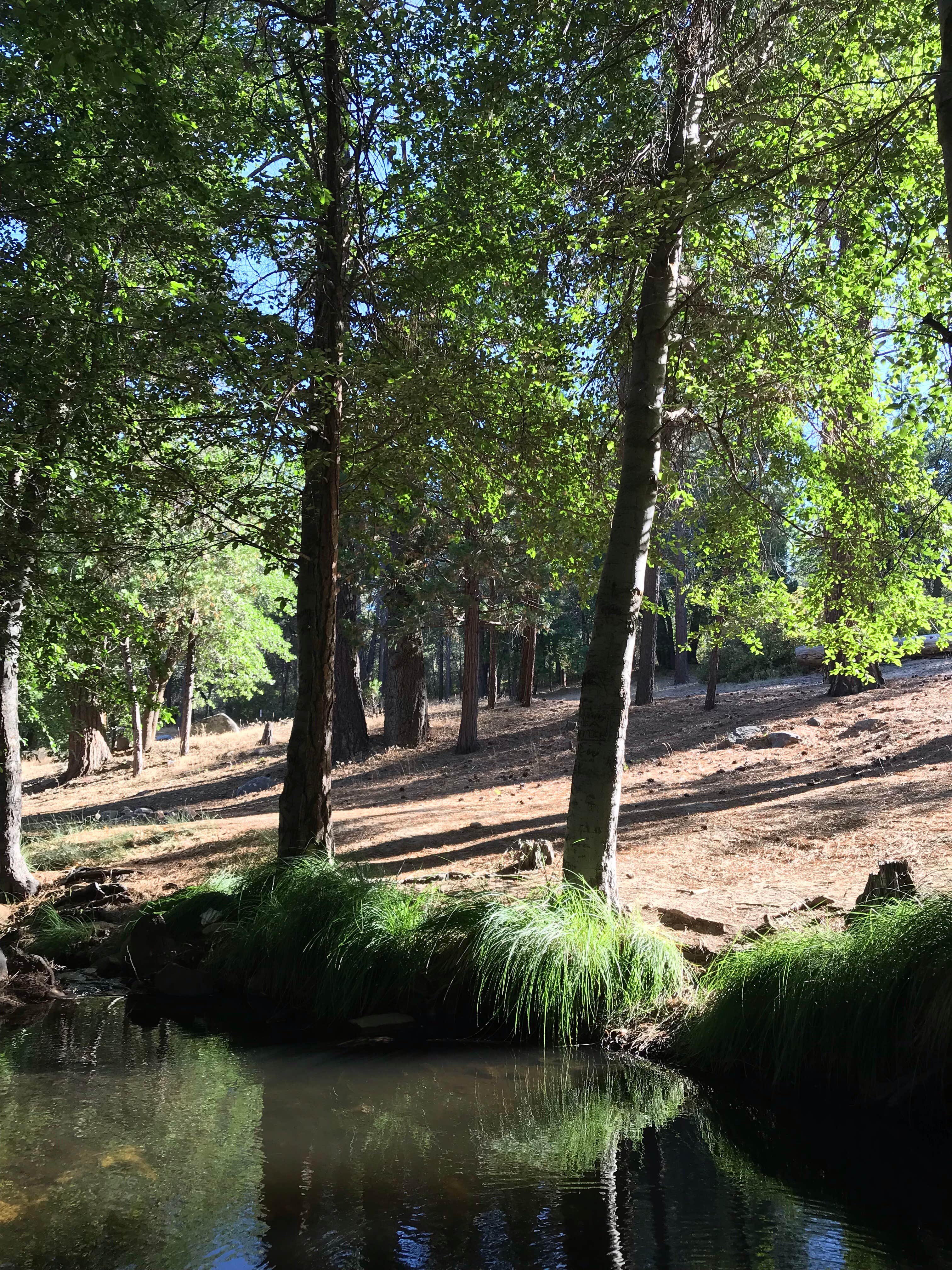 Camping area No. 3 (dispersed)