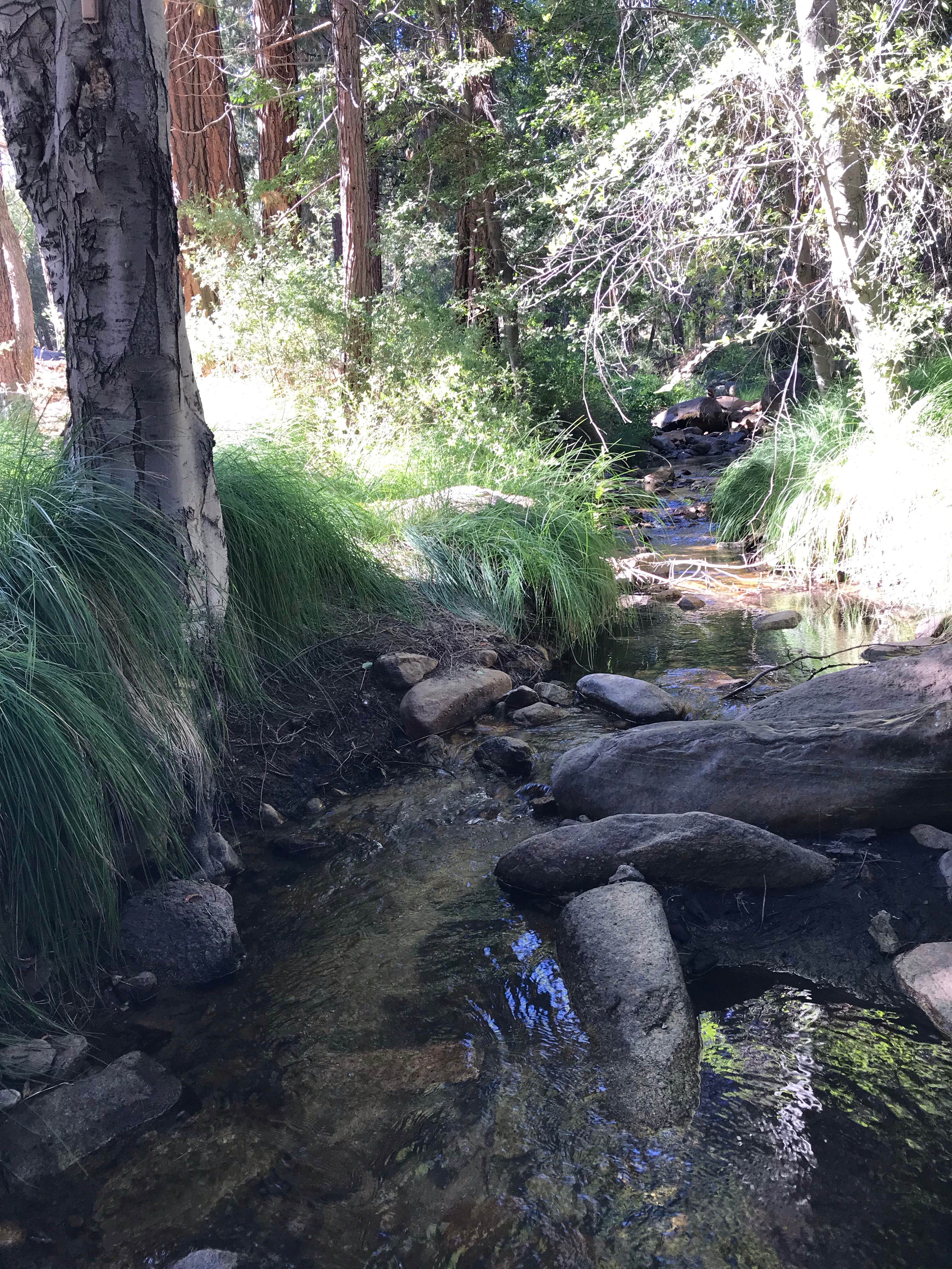 Camper-submitted photo at Camping area No. 3 (dispersed) near Pixley, CA