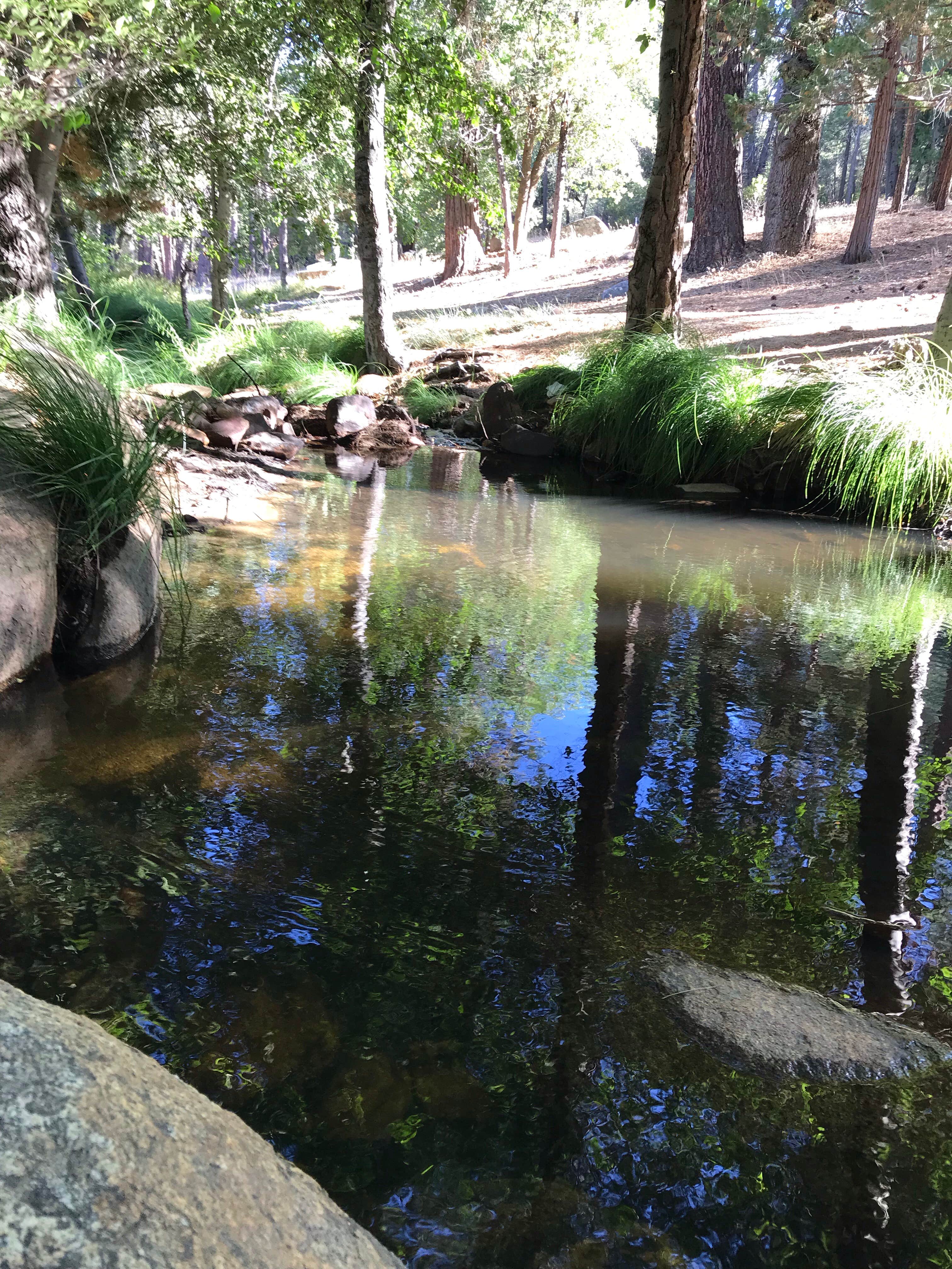 Camper-submitted photo at Camping area No. 3 (dispersed) near Pixley, CA