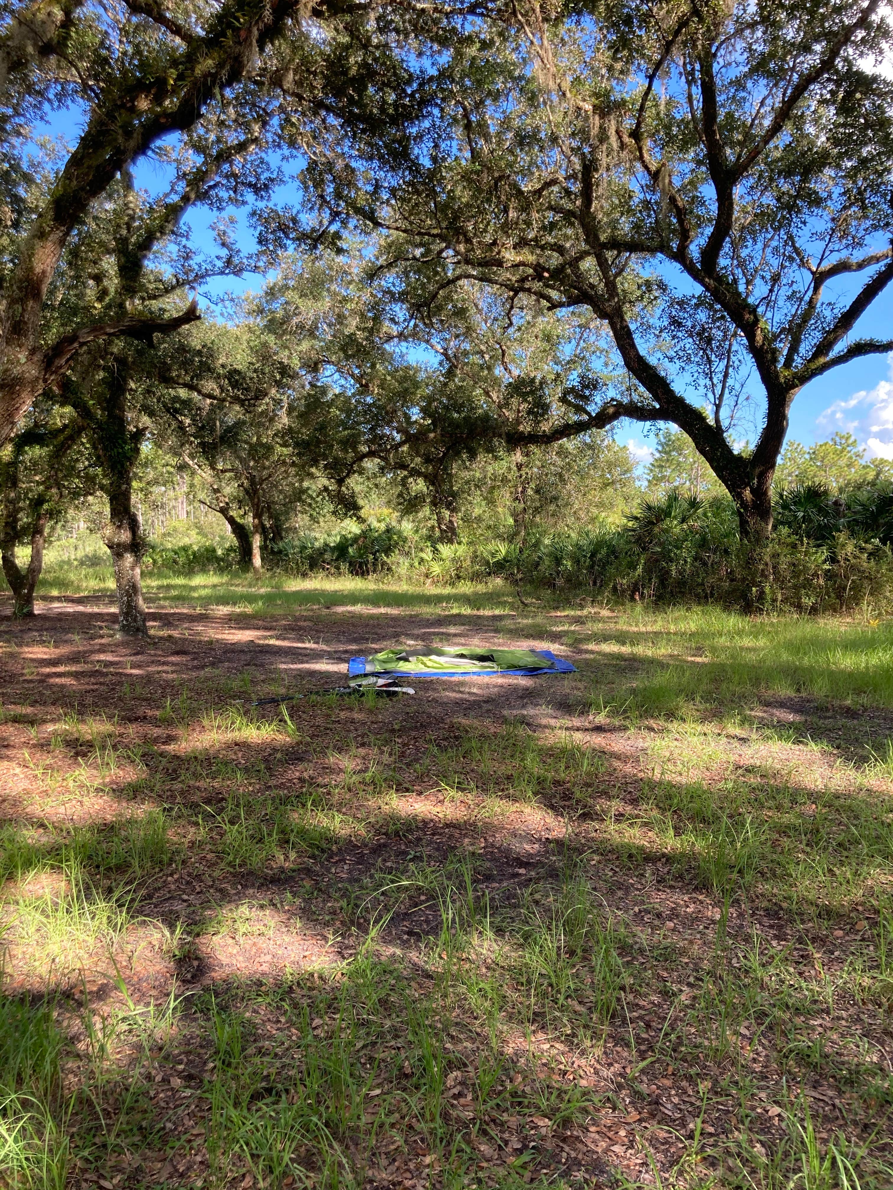 Camper-submitted photo at Hal Scott Preserve County Park near Orlando, FL