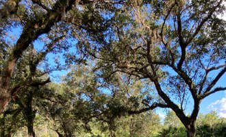 Camping near Seminole Ranch Conservation Trailhead: Hal Scott Preserve County Park, Christmas, Florida
