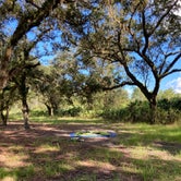 Review photo of Hal Scott Preserve County Park by Jamie C., August 21, 2020