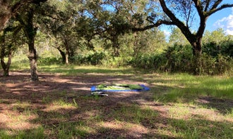 Camping near Lake Mills Park: Hal Scott Preserve County Park, Christmas, Florida