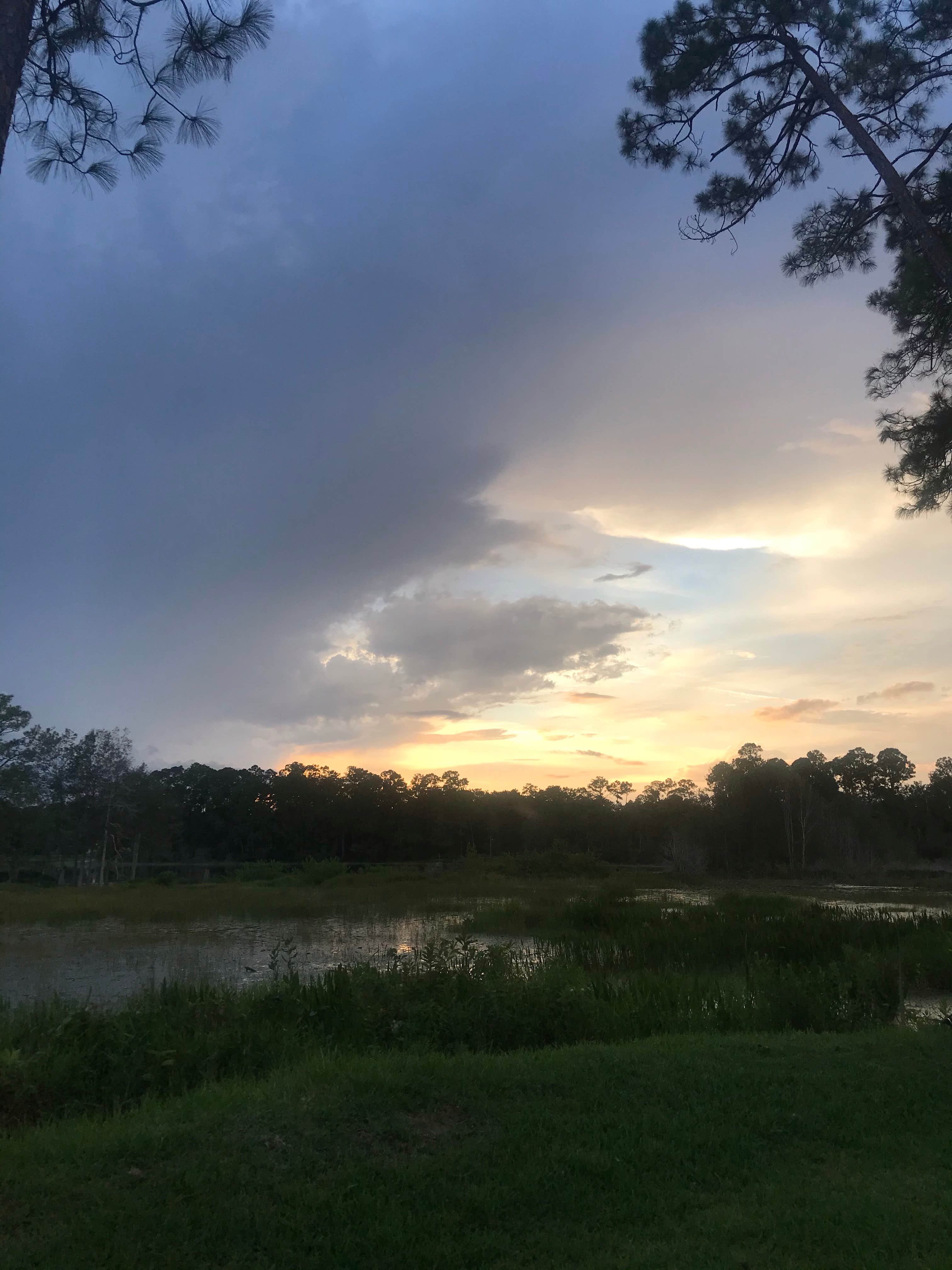 Camper-submitted photo at Lake Waldena Resort near Welaka, FL
