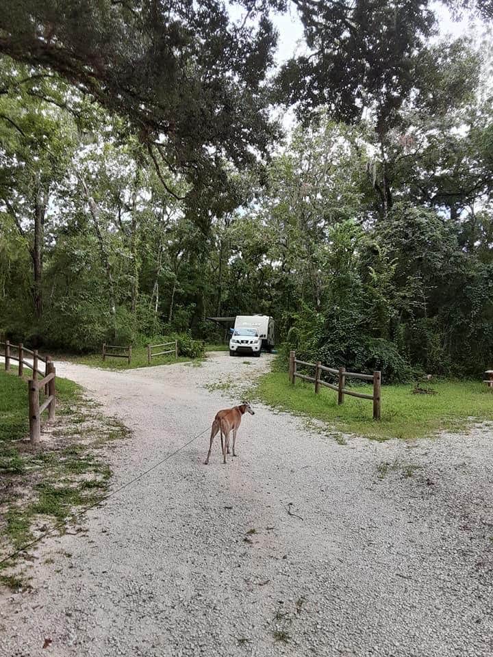 Steve N.'s photo of camping with pets at Cypress Glen Campground near Spring Hill, FL