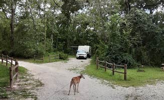 Steve N.'s photo of camping with pets at Cypress Glen Campground near Trilby, FL