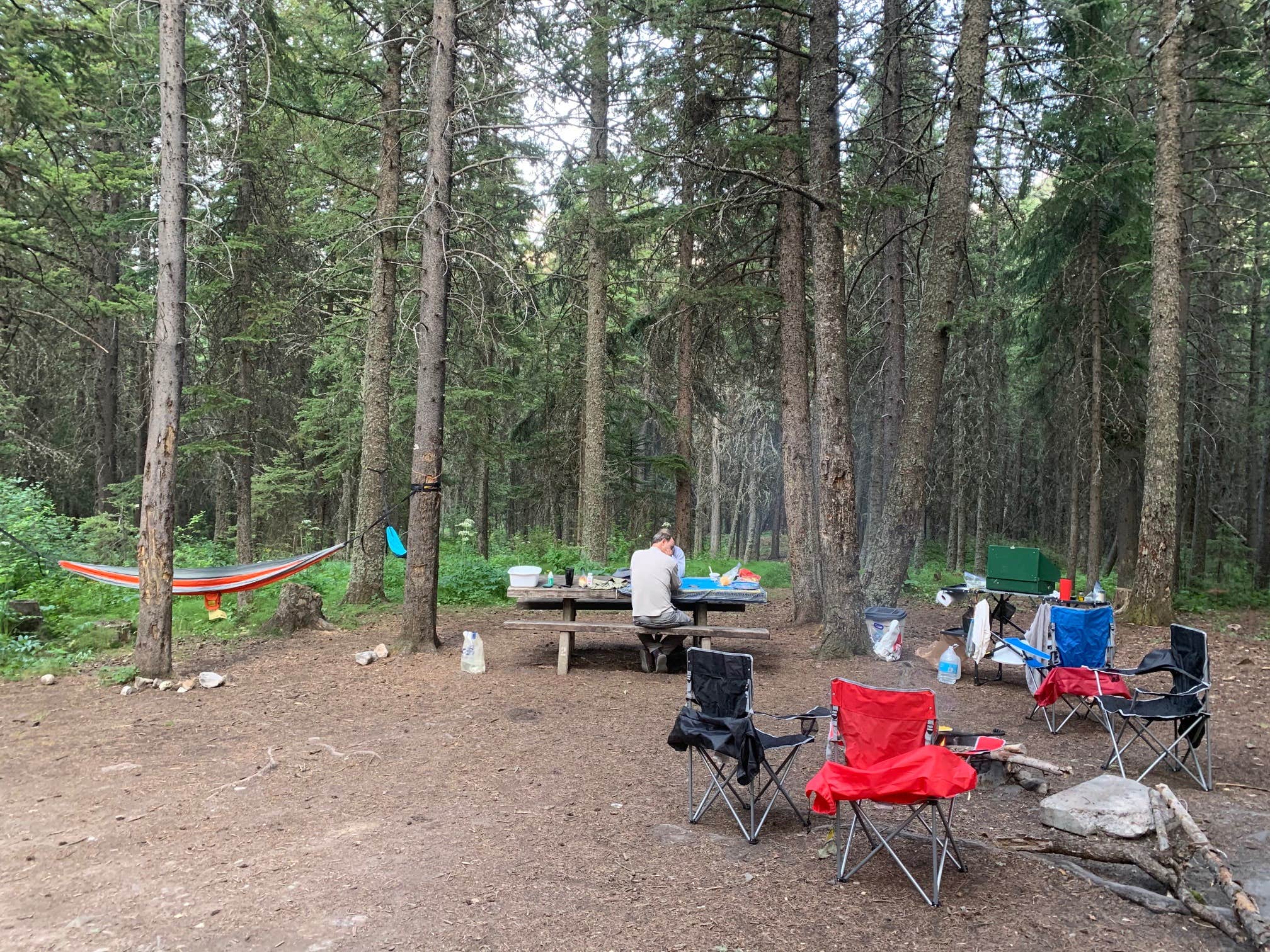 Lara F.'s photo of tent camping at Mill Falls near Choteau, MT