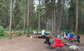 Lara F.'s photo at Mill Falls near Augusta, MT