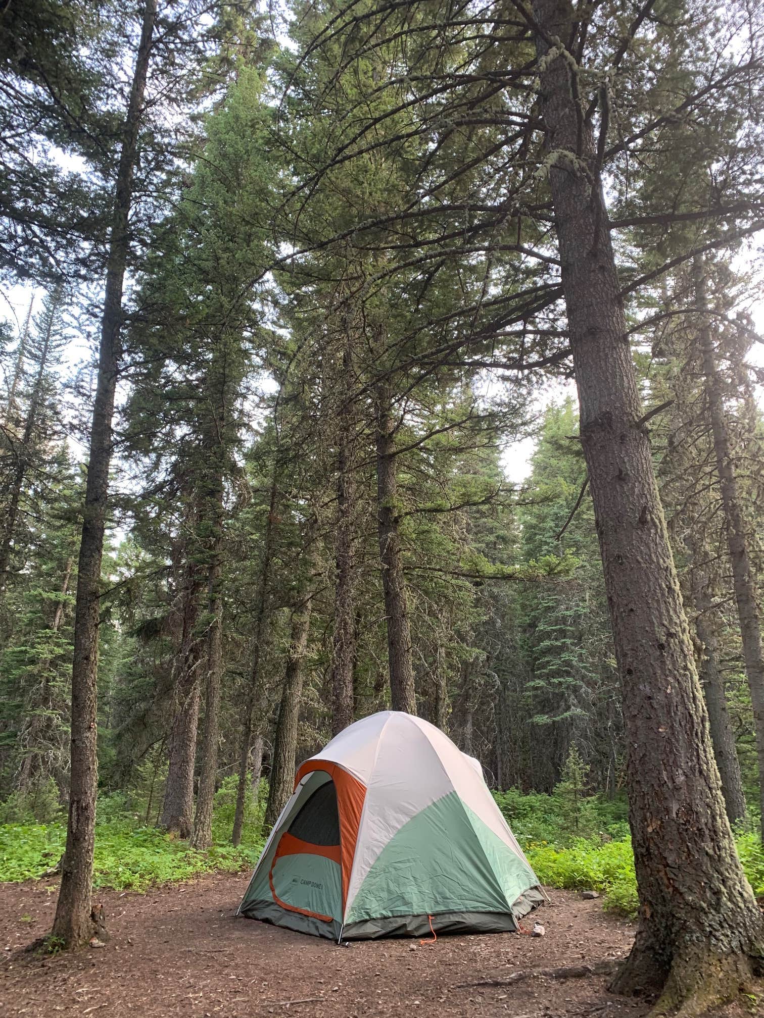 Lara F.'s photo of tent camping at Mill Falls near Flathead National Forest