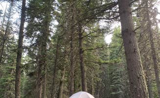 Lara F.'s photo at Mill Falls near Choteau, MT