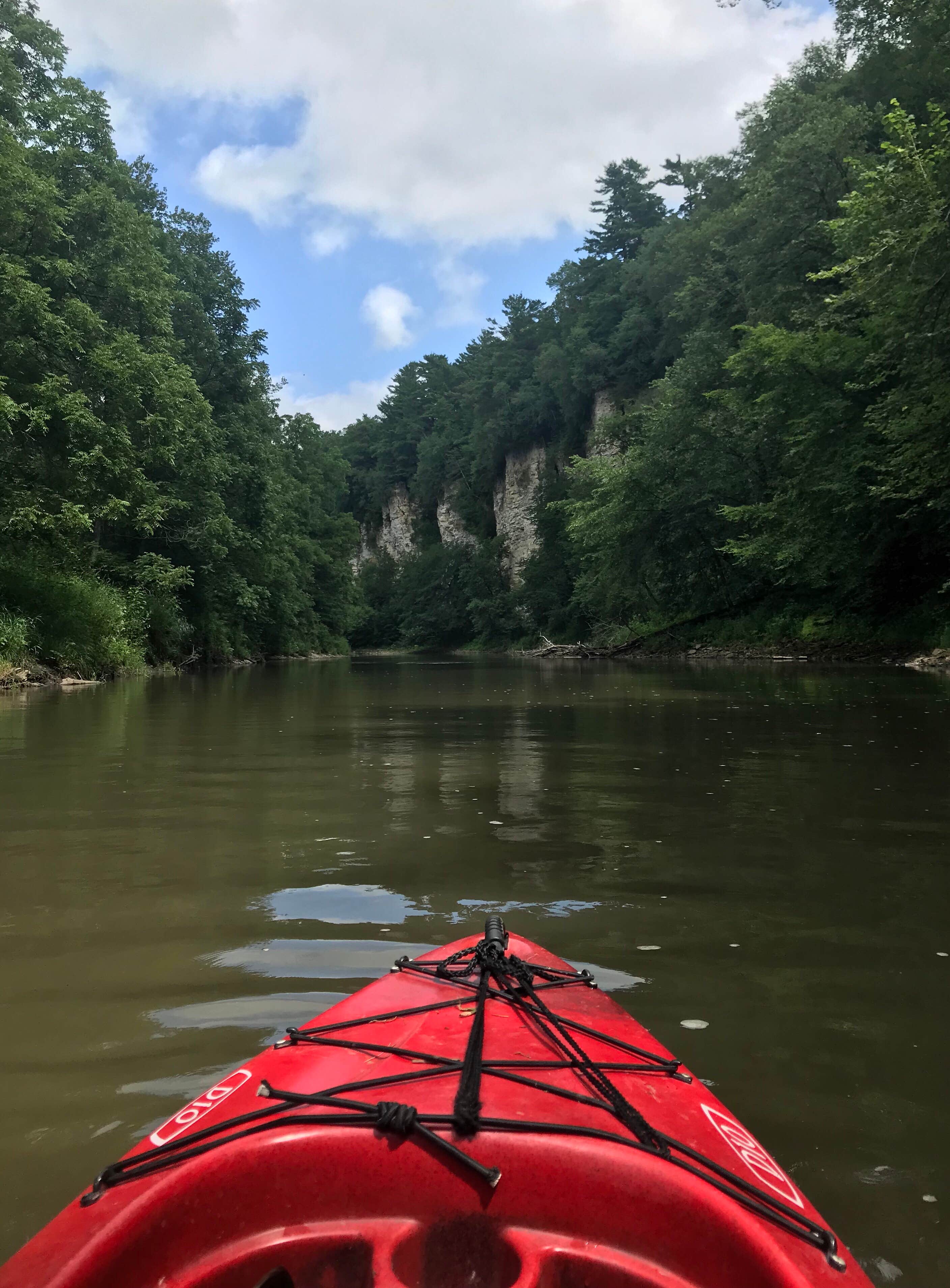 Camper-submitted photo at Bluff Hollow on Root River near Marion, MN