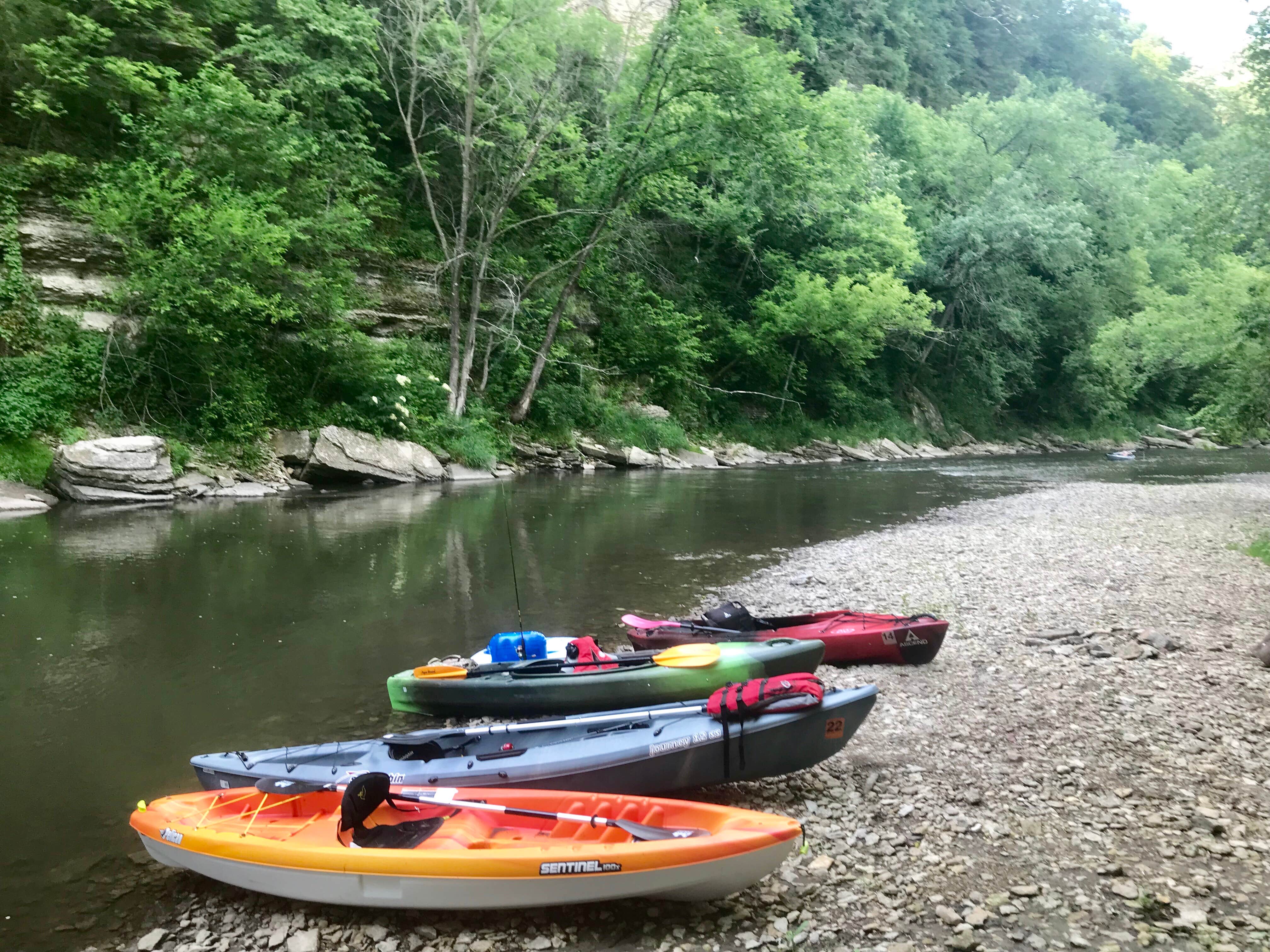 Camper-submitted photo at Bluff Hollow on Root River near Marion, MN