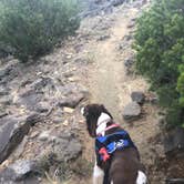 Review photo of Piñon Campground — Lathrop State Park by Kevin , August 21, 2020