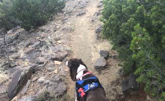 Kevin's photo of camping with pets at Piñon Campground — Lathrop State Park near Rye, CO