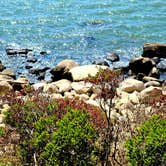 Review photo of Hammonasset State Park Campground by Ossama  B., August 21, 2020