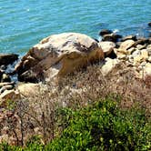 Review photo of Hammonasset State Park Campground by Ossama  B., August 21, 2020