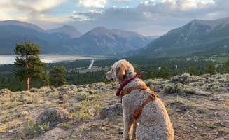Riley F.'s photo of camping with pets at Twin Peaks Dispersed Campground- Colorado near Granite, CO