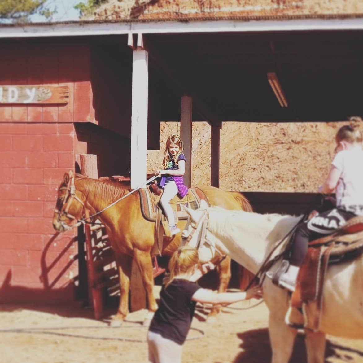 Mandy K.'s photo of camping with a horse at Roman Nose State Park — Roman Nose State Resort Park near Watonga, OK