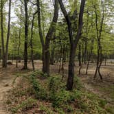 Review photo of Greenbelt Park Campground — Greenbelt Park by Shari  G., May 4, 2018