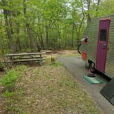 Review photo of Greenbelt Park Campground — Greenbelt Park by Shari  G., May 4, 2018