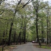 Review photo of Greenbelt Park Campground — Greenbelt Park by Shari  G., May 4, 2018