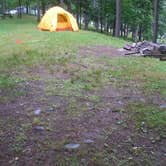 Review photo of Wellesley Island State Park Campground by Trina W., May 4, 2018