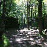 Review photo of Quaker Area — Allegany State Park State Park by Trina W., May 4, 2018