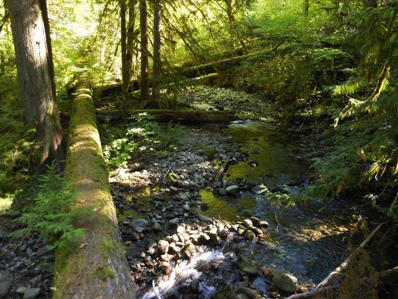 Camper-submitted photo at Hilltop Hideaway near Baker City, OR