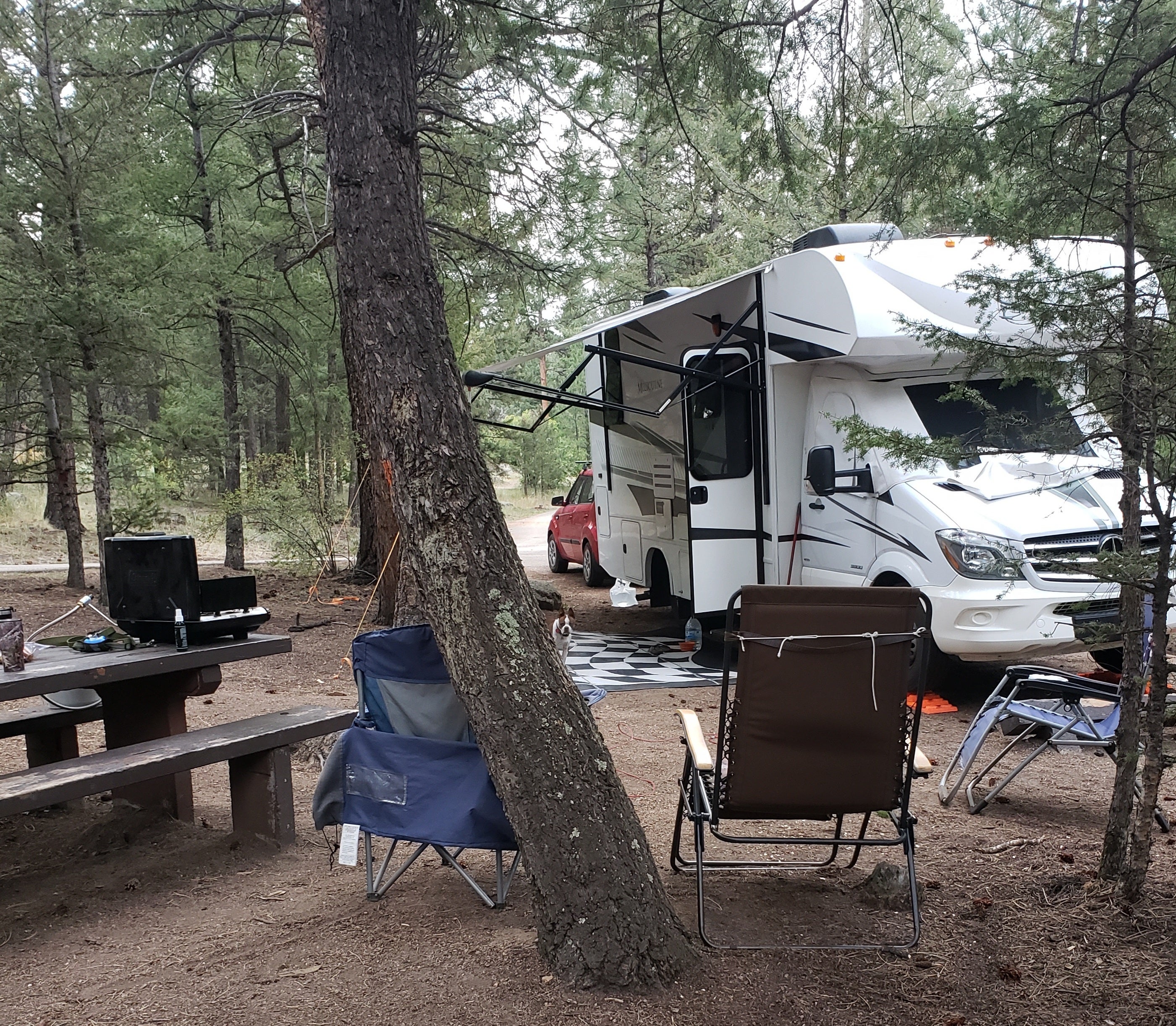 Camper submitted image from Kelsey Campground - 5